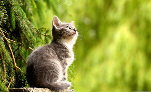 1758288 (a): :3928x2397